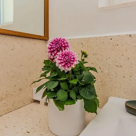 וילה Amazing Ele *